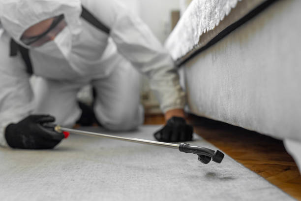 Professional Termite Control technician working in Griswold, IA